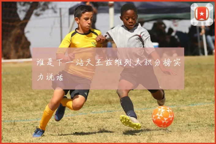 谁是下一站天王兹维列夫积分榜实力说话