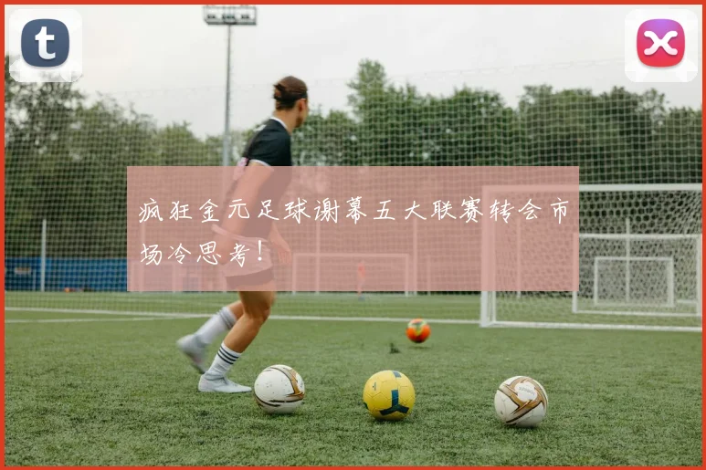 疯狂金元足球谢幕五大联赛转会市场冷思考!