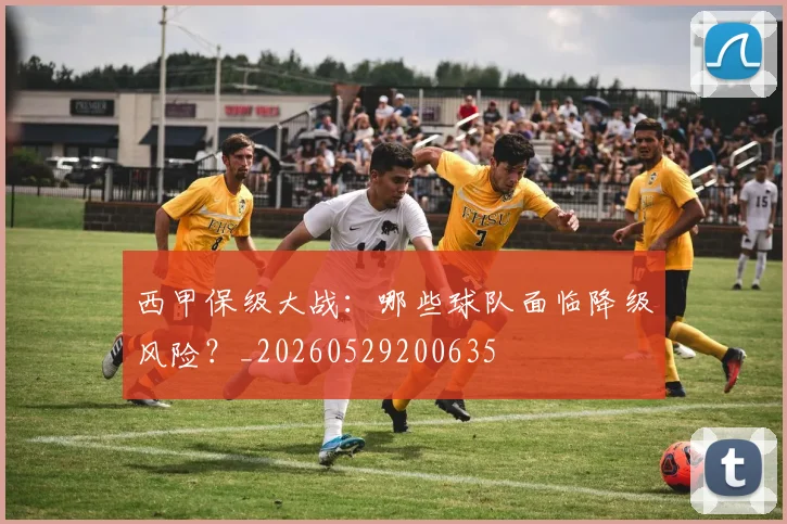 西甲保级大战:哪些球队面临降级风险?_20260529200635